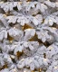 Искусственная елка «Камчатская заснеженная» 4 м, 1559 теплых белых Led ламп., литая хвоя+пвх