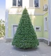 Интерьерная ствольная елка «Снежная королева заснеженная с шишками» 4,5 м, ПВХ