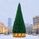 Уличная ствольная сосна «Альпийская Люкс» 14 м, Леска, зеленая